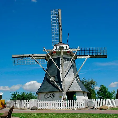 Seestern فيردوم