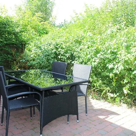 Seestern * فيردوم