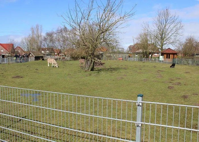 Διαμέρισμα Seestern