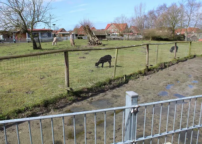 Seestern Διαμέρισμα